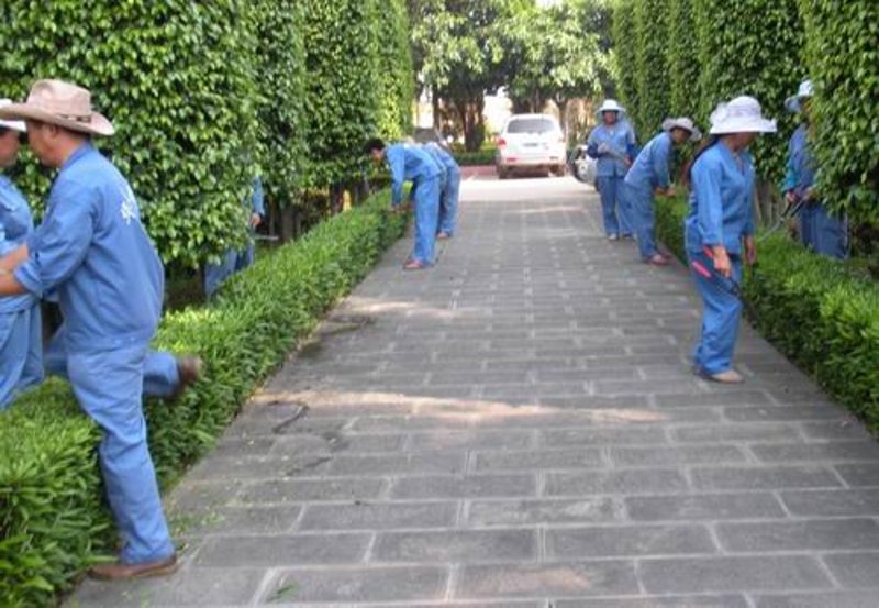 解读住宅小区物业：物业服务的关键角色
